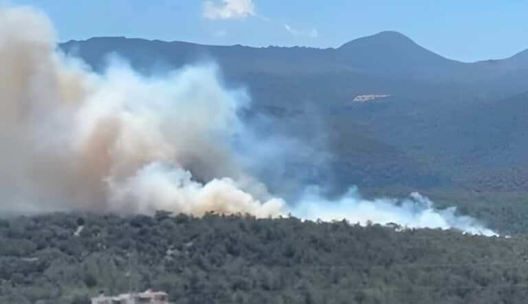 Κρήτη: Φωτιά σε δασική έκταση στον Άγιο Νικόλαο – Μήνυμα από το 112 για ετοιμότητα