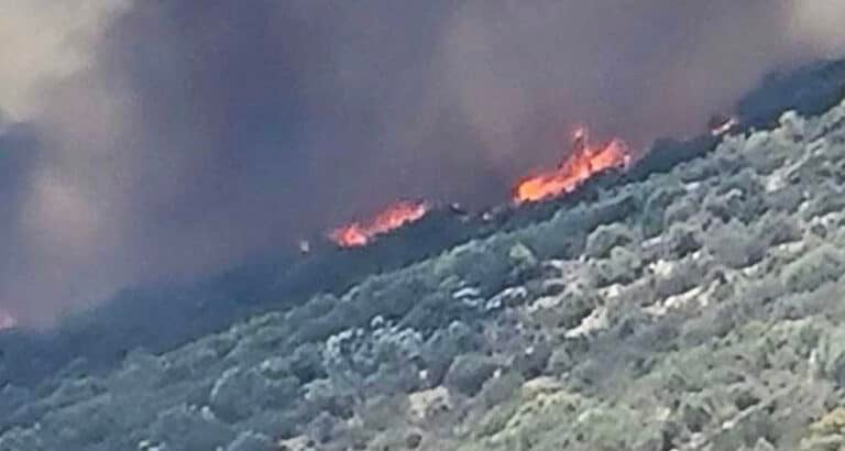 Φωτιά στην Κερατέα: Μήνυμα από το 112 – «Αν βρίσκεστε σε Δροσιά και Χάρβαλο απομακρυνθείτε προς Ανάβυσσο»
