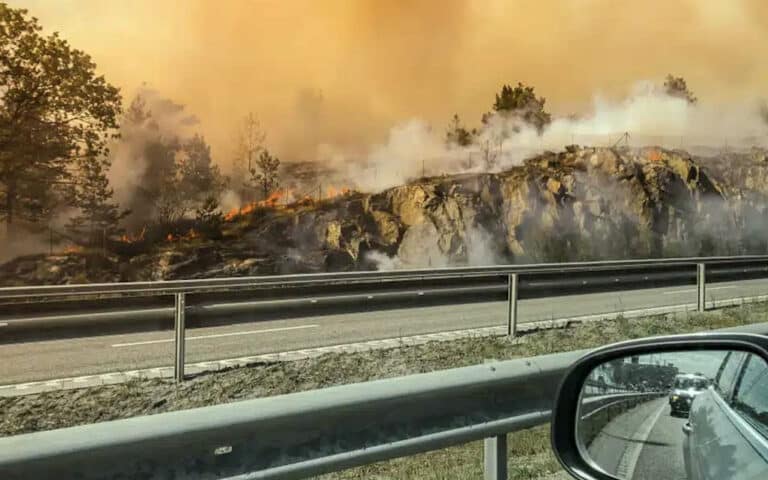 Σημαντικό: Τι πρέπει να κάνεις αν εγκλωβιστείς με το αυτοκίνητό σου σε πυρκαγιά
