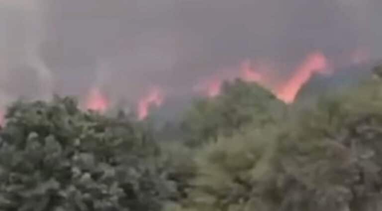 ΕΚΤΟΣ ΕΛΕΓΧΟΥ Η ΦΩΤΙΑ: ΚΤΗΝΟΤΡΟΦΟΙ ΑΠΟΜΑΚΡΥΝΟΥΝ ΤΑ ΖΩΑ ΤΟΥΣ – ΕΝΙΣΧΥΘΗΚΑΝ ΟΙ ΔΥΝΑΜΕΙΣ