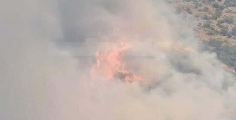 Φωτιά στη Μάνη, στην περιοχή Λάγια – Σηκώθηκαν εναέρια μέσα
