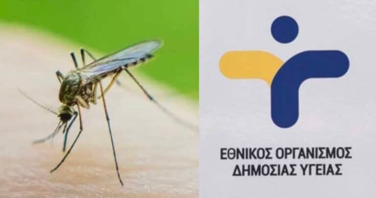 Ιός του Δυτικού Νείλου: 2 νεκροί και συνολικά 47 κρούσματα στη χώρα μας – Ποιοι δήμοι απειλούνται περισσότερο