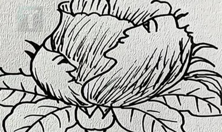 Μόνο άτομα με μεγάλο IQ  μπορούν να βρουν τα 5 πρόσωπα  σε 17 δευτερόλεπτα