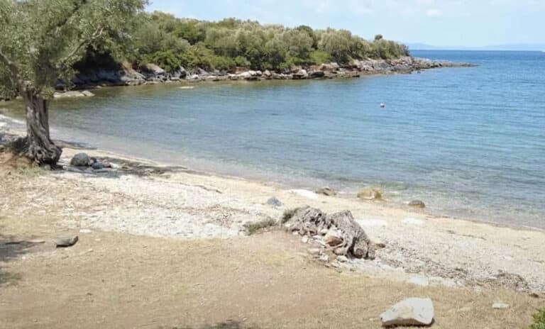 Άγριος καβγάς σε παραλία στο Πήλιο  – Τρεις συλλήψεις