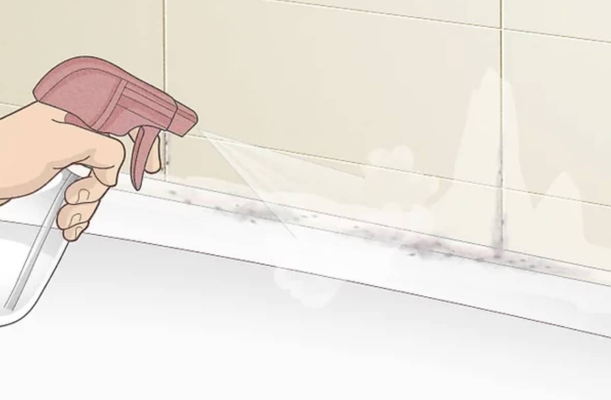 Ο πιο γρήγορος τρόπος για να απαλλαγείτε από τη μούχλα στην σιλικόνη του ντους 4 stigmiotypo othonis 2025 10 24 04.00.06