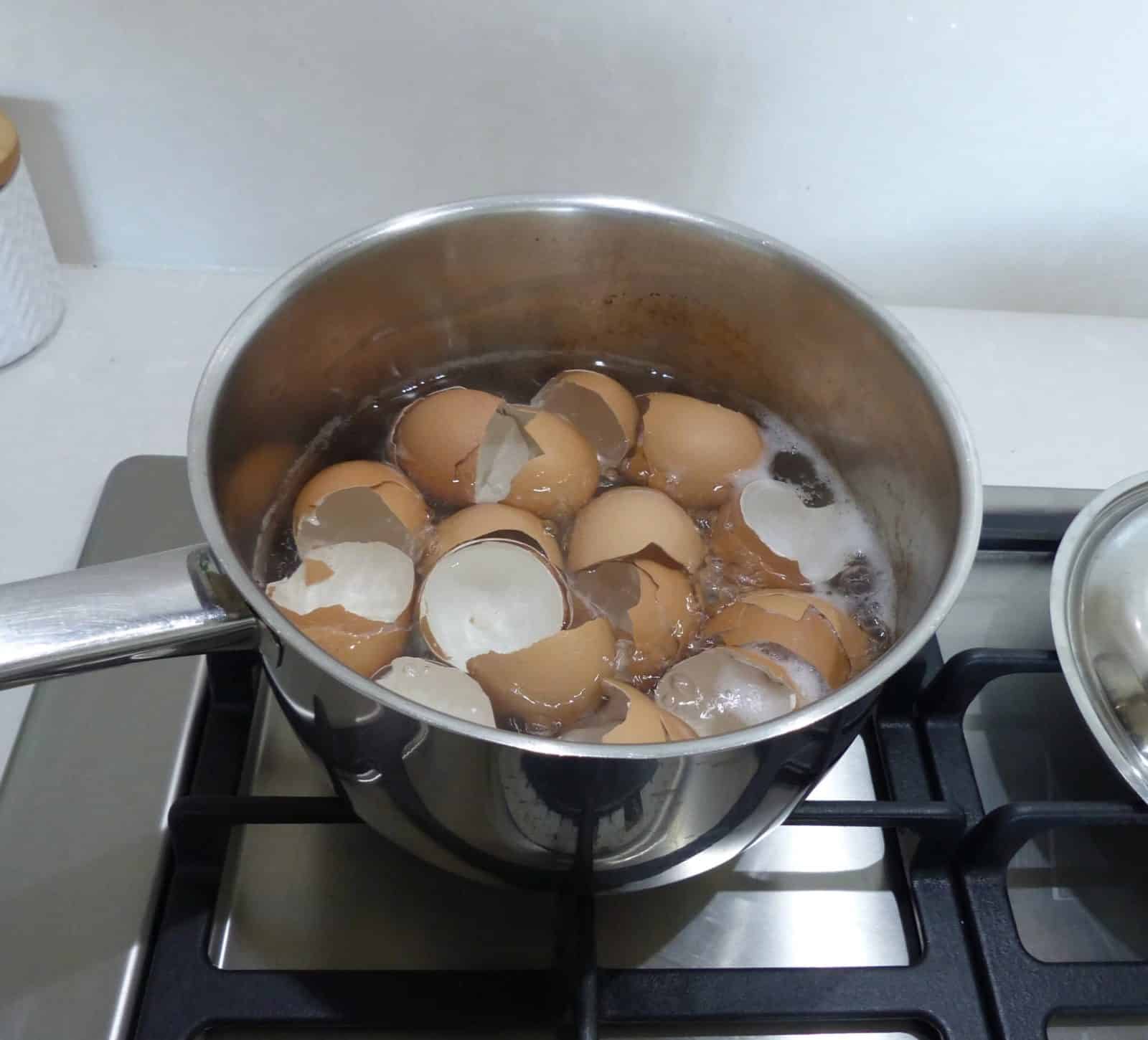 strong bones calcium eggshells 1600x1450 1