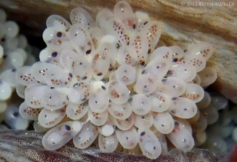 une decouverte inquietante dans une grotte cachee au bord de la mer qui nous a fait fremir.jpg 11zon
