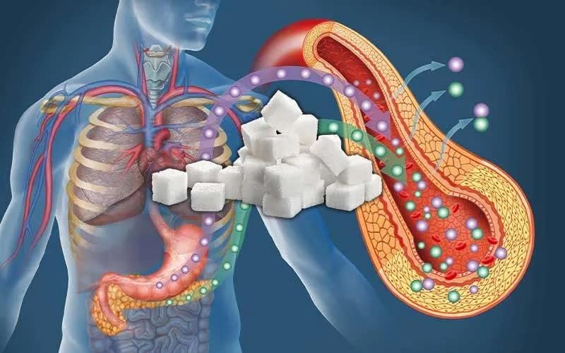 what does sugar do to your body 11zon