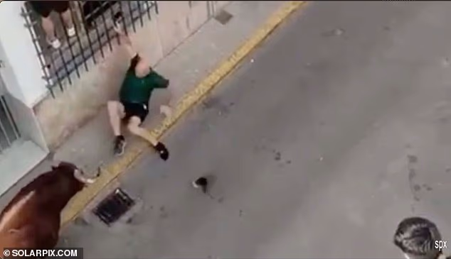 101935343 15076223 image a 3 1757320884722