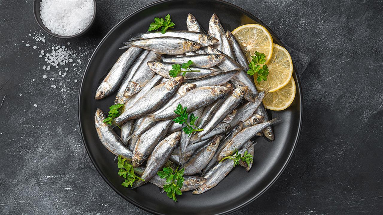 121180 sardines1280