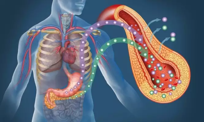 14099diavitis 666x399 1