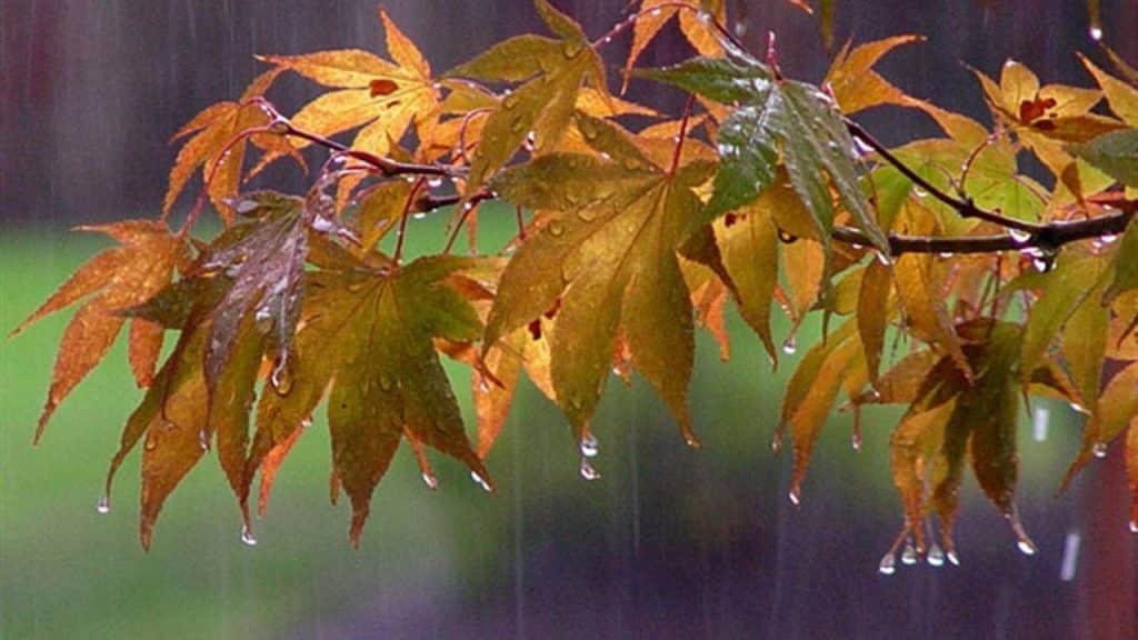 200915212856 fthinoporo 570 1280x720 1 1024x576 1