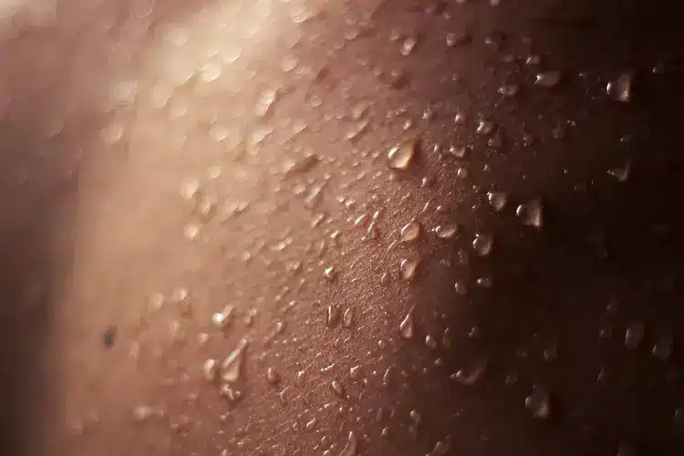 3 1