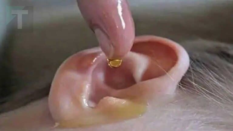 Η συνταγή της γιαγιάς: Bάλτε 4 σταγόνες στο αυτί σας και θα ακούτε όπως πριν