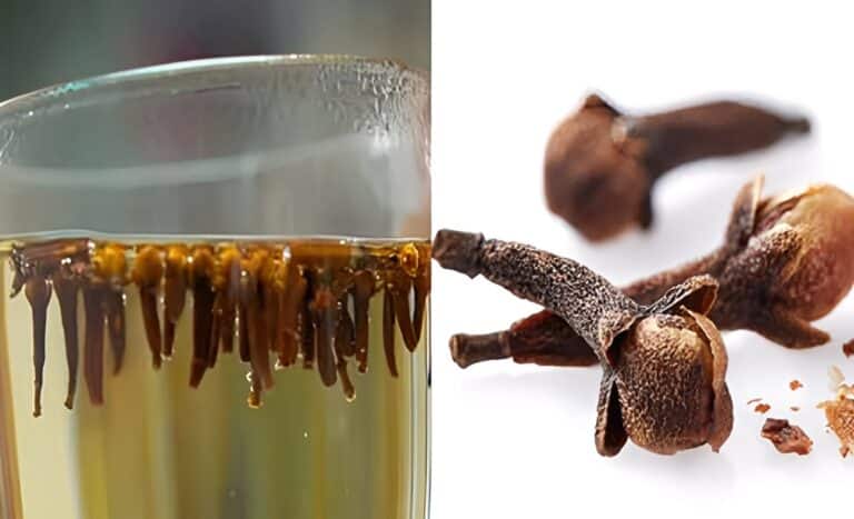 Τα απρόσμενα οφέλη του να πίνετε νερό με γαρύφαλλο