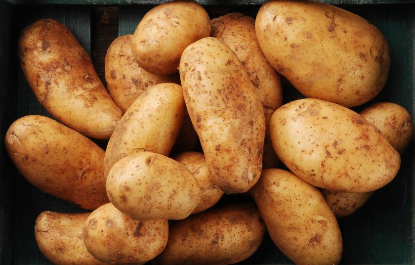 b patates orf