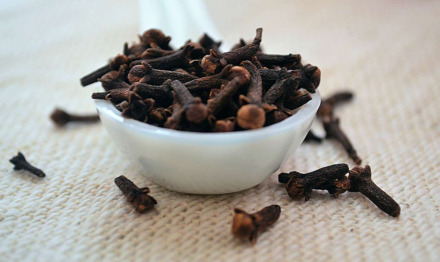 close up of clove spice in a ceramic spoon 914516590 5b40664ec9e77c0037a2737c