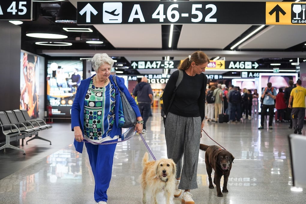 ita airways dog flight 24.9.2025