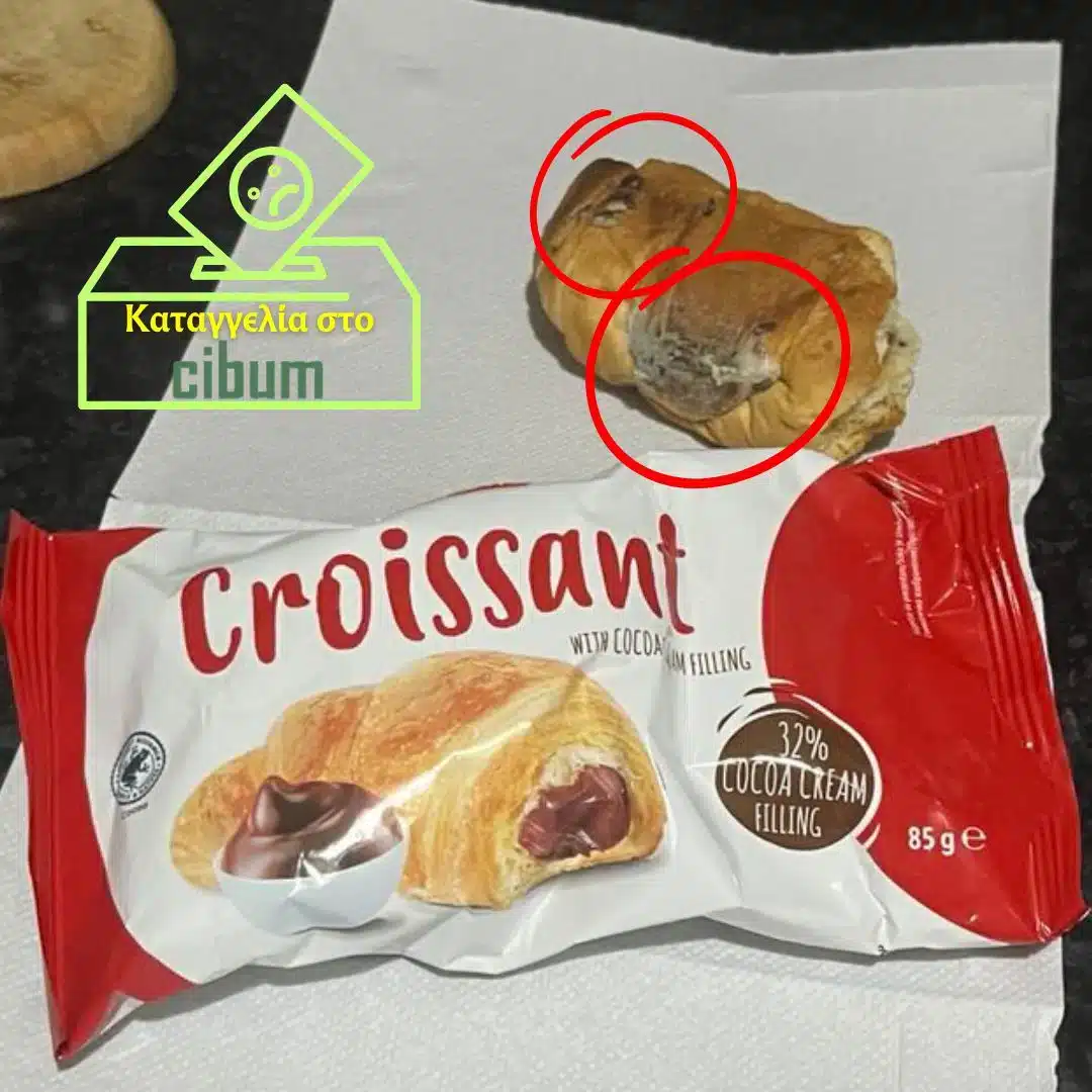 kontino siskevasia.jpg