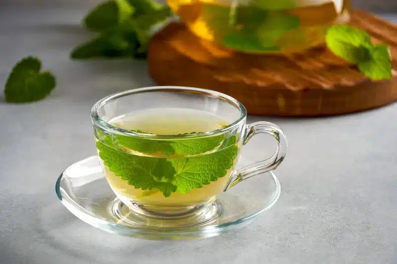 lemon balm tea 1247760466