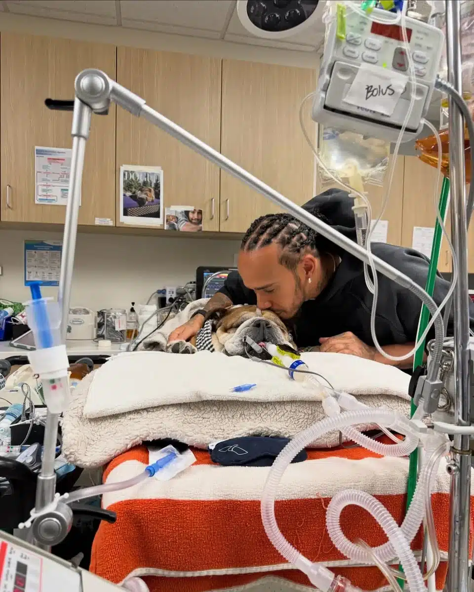 lewis hamilton skilos roscoe nosokomeio.jpg 1