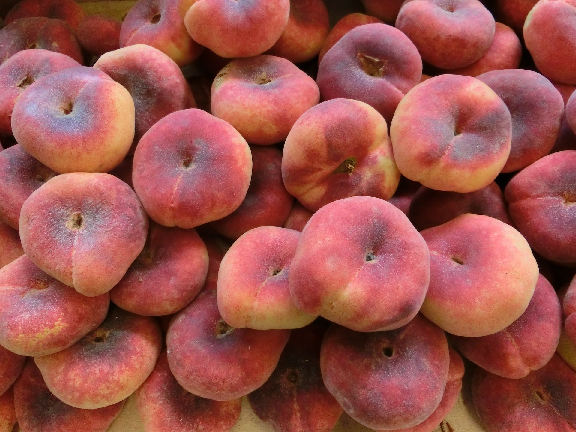 peaches g076088996 1920 1646136972