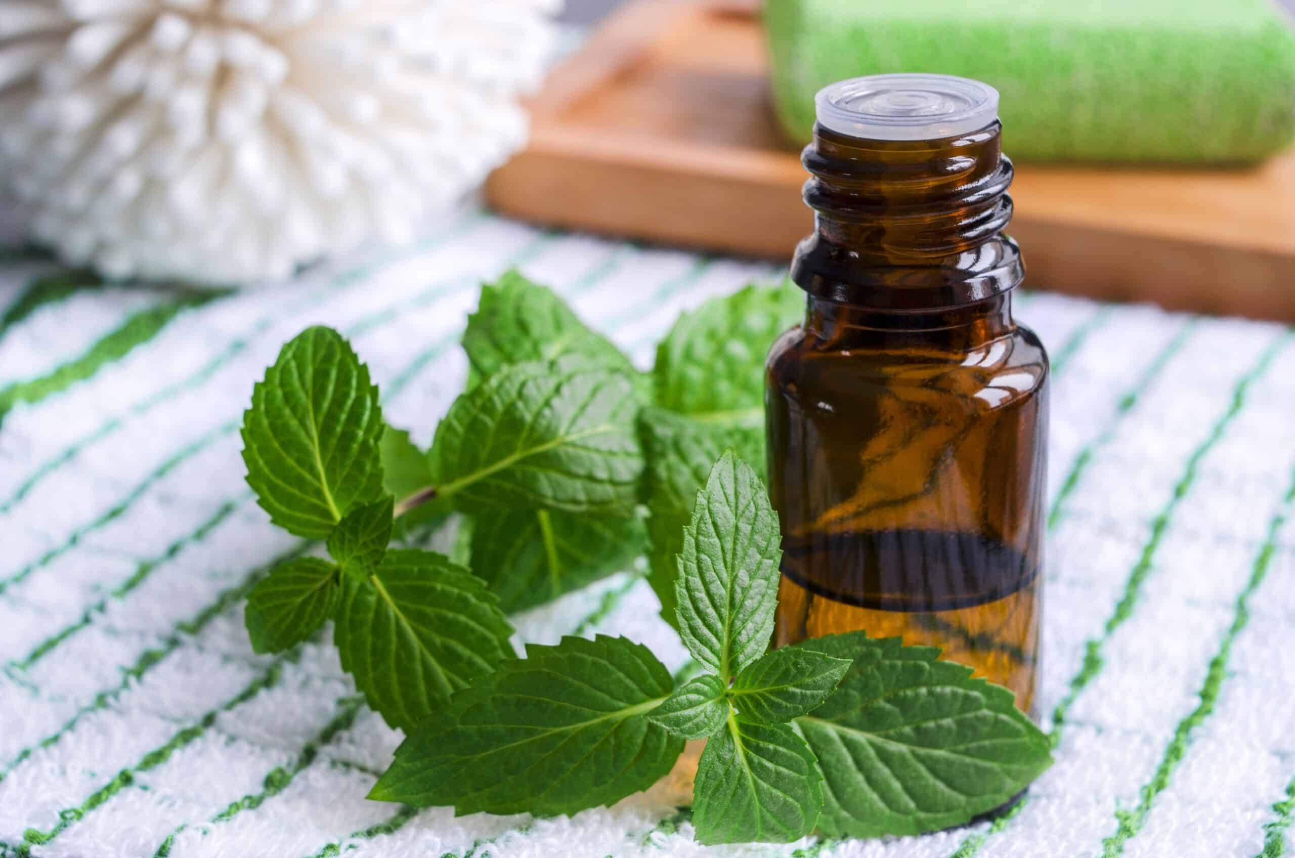 peppermint essential oil scaled