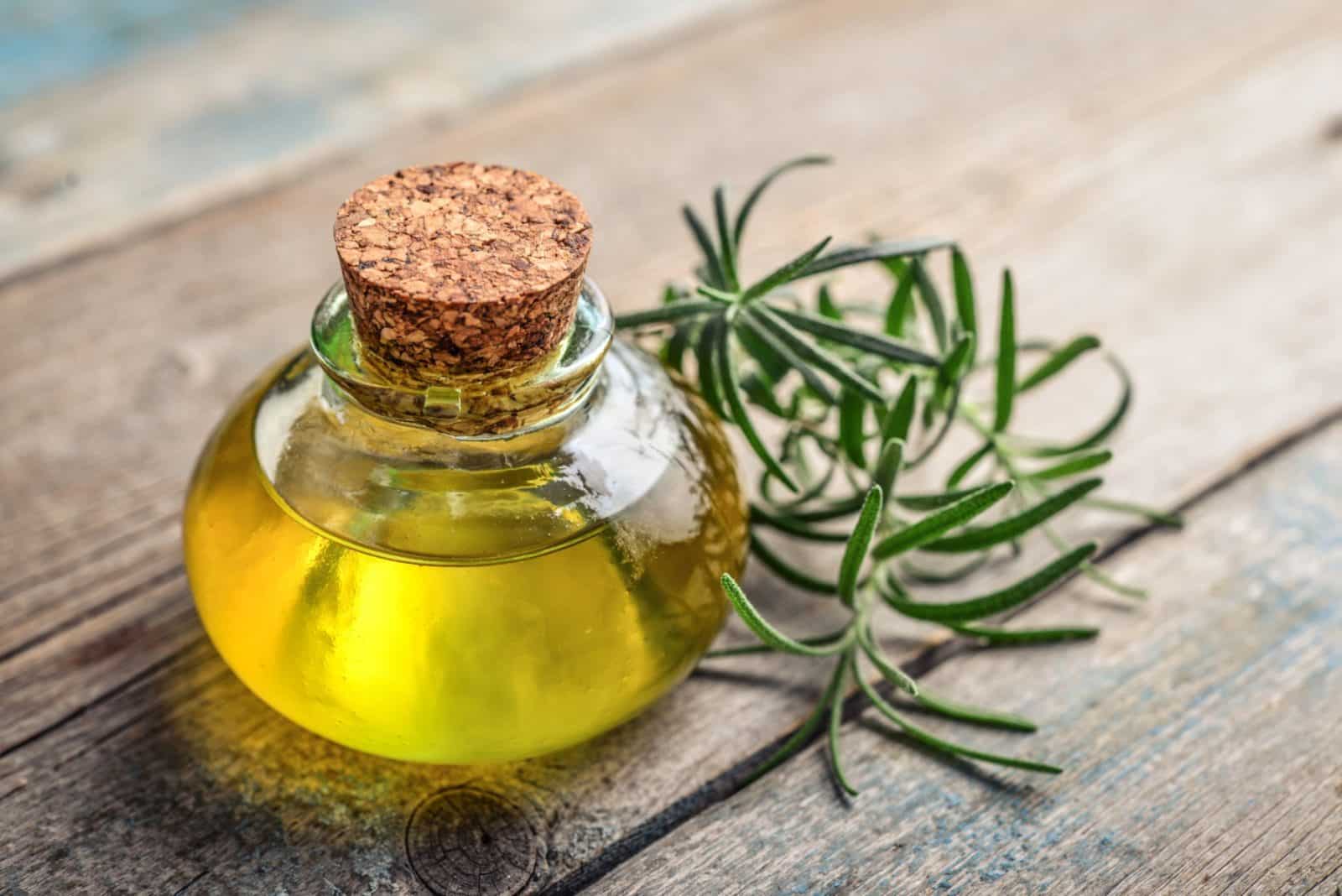 rosemary oil 2 scaled e174256409 1600x1068 1