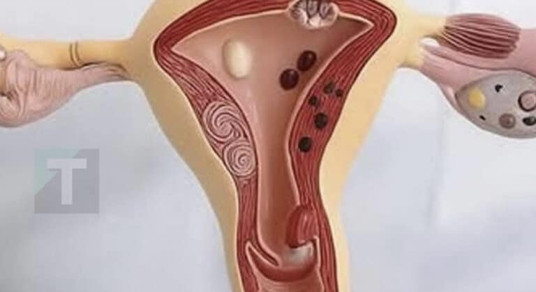 Αυτό συμβαίνει στο σώμα σας όταν σταματάτε να έχετε εpωτıκές σχέσεις