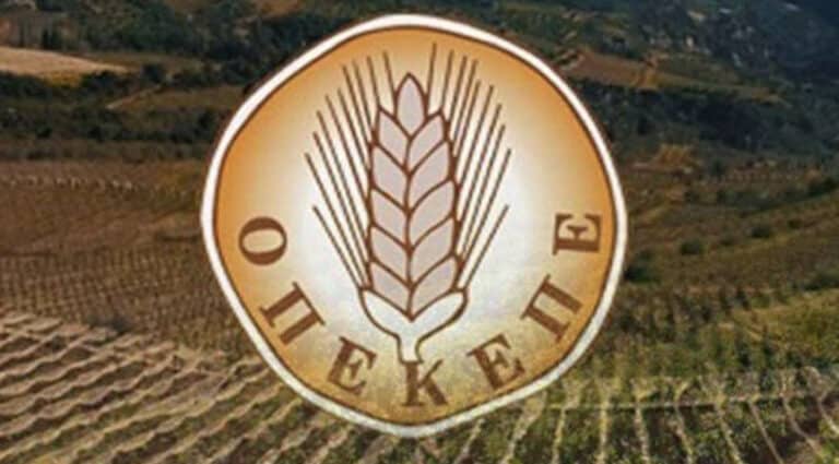 Θεσσαλοί αγρότες «βάφτισαν» πατάτα το σιτάρι στην Κάρλα – Τα 2 εκατομμύρια εupώ και τα «γκέτο»