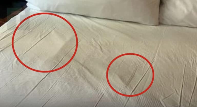 Οι γιατροί προειδοποιούν: Auτό το 1 σημάδι καρκίνου μπορεί να φανεί στα σεντόνια σας