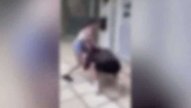 Πάτρα: Σύλληψη 4 κοριτσιών για bullying: Εξευτέλισαν 13χρονη και κατέγραψαν βίντεο καθώς τους φιλούσε τα πόδια