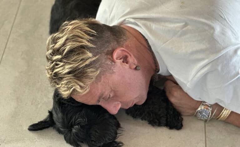 Μαζωνάκης: Ο κτηνίατρος μίλησε στη τηλεόραση για το αν είχε κακοποιηθεί η σκυλίτσα – Αυτά αποκάλυψε