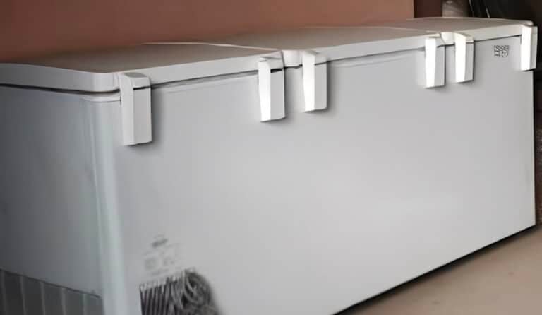 Μακάβριο μυστικό: Μητέρα κρατούσε το πτώμα της κόρης της σε καταψύκτη για 20 χρόνια