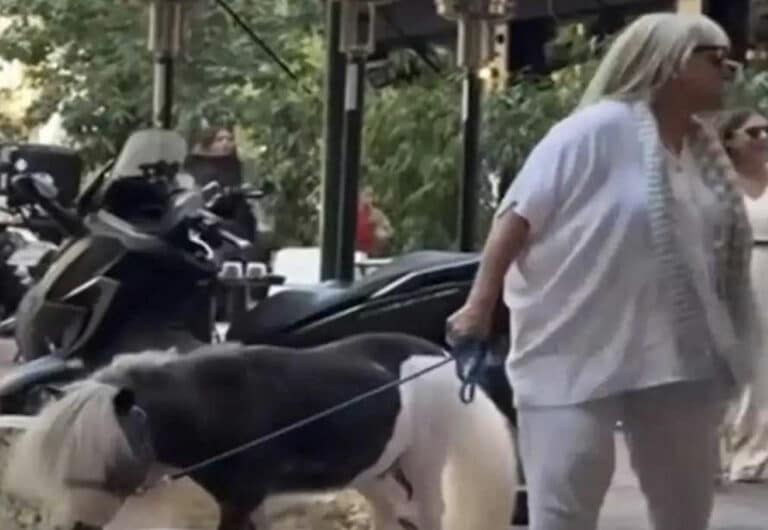 Γυναίκα έβγαλε βόλτα το πόνυ της στο κέντρο της Αθήνας