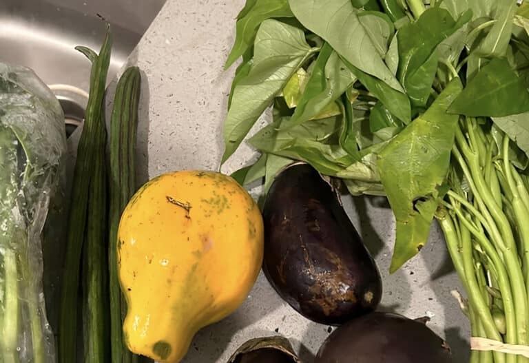 To φυτό που καθαρίζει το αίμα, το δέρμα, τα νεφρά, το συκώτι και το πάγκρεας