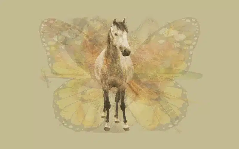 un etalon 1