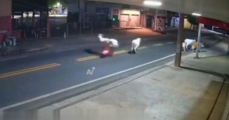 Βίντεο-σοκ: Νεκρός ποδοσφαιριστής μετά από σύγκρουση με αγελάδα