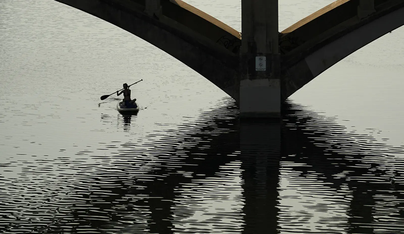 2657958 lady bird lake