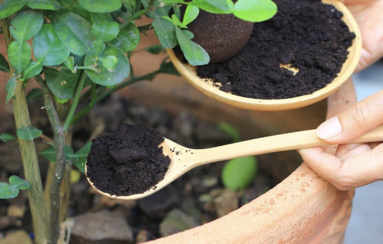 14 εκπληκτικές χρήσεις του καφέ εκτός από το ρόφημα