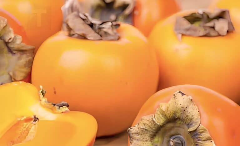 Οι ιδιότητες του λωτού, του γλυκού φθινοπωρινού φρούτου