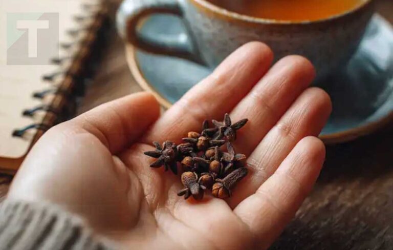 Μασώντας γαρίφαλλο καθημερινά: Μια μικρή συνήθεια με τεράστια οφέλη για την υγεία