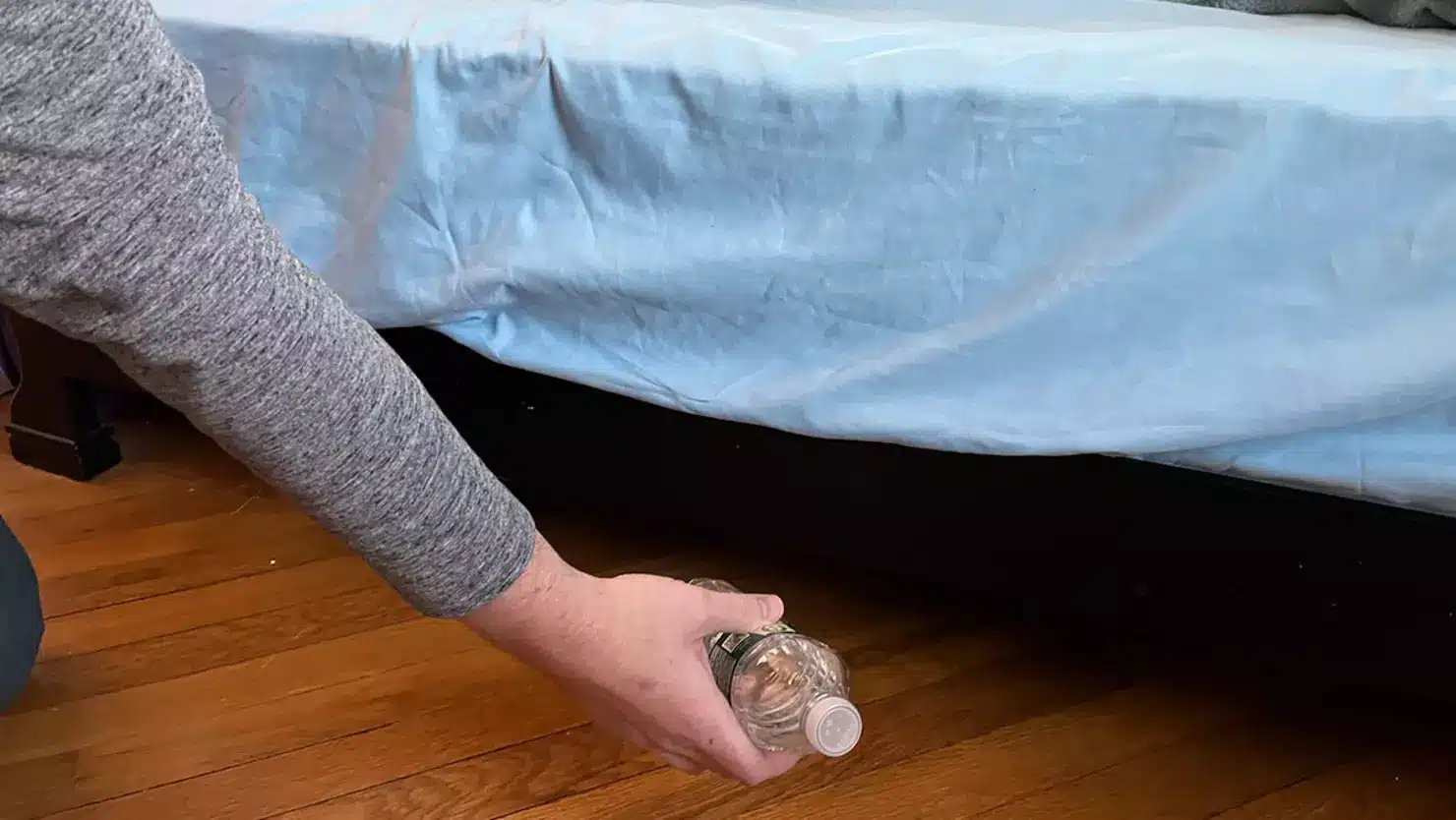 65cd39ea812dfa6958c8f5f2