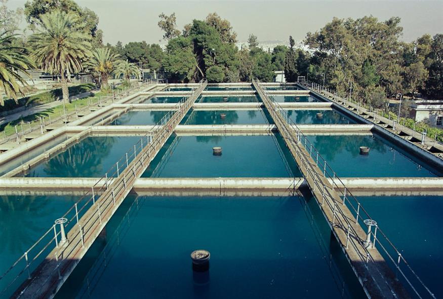 875 c0dae07d 2c43 4a4d 9474 c72a5c541b56