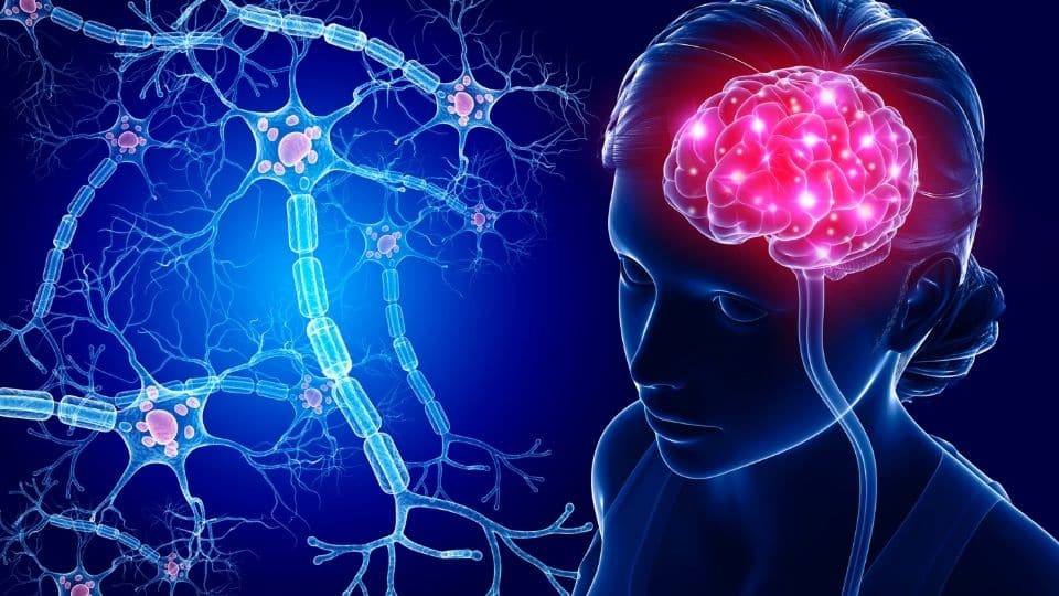 Τι σημαίνει να ξεχνάς το όνομα ορισμένων ανθρώπων, σύμφωνα με την ψυχολογία 2 a healthy brain