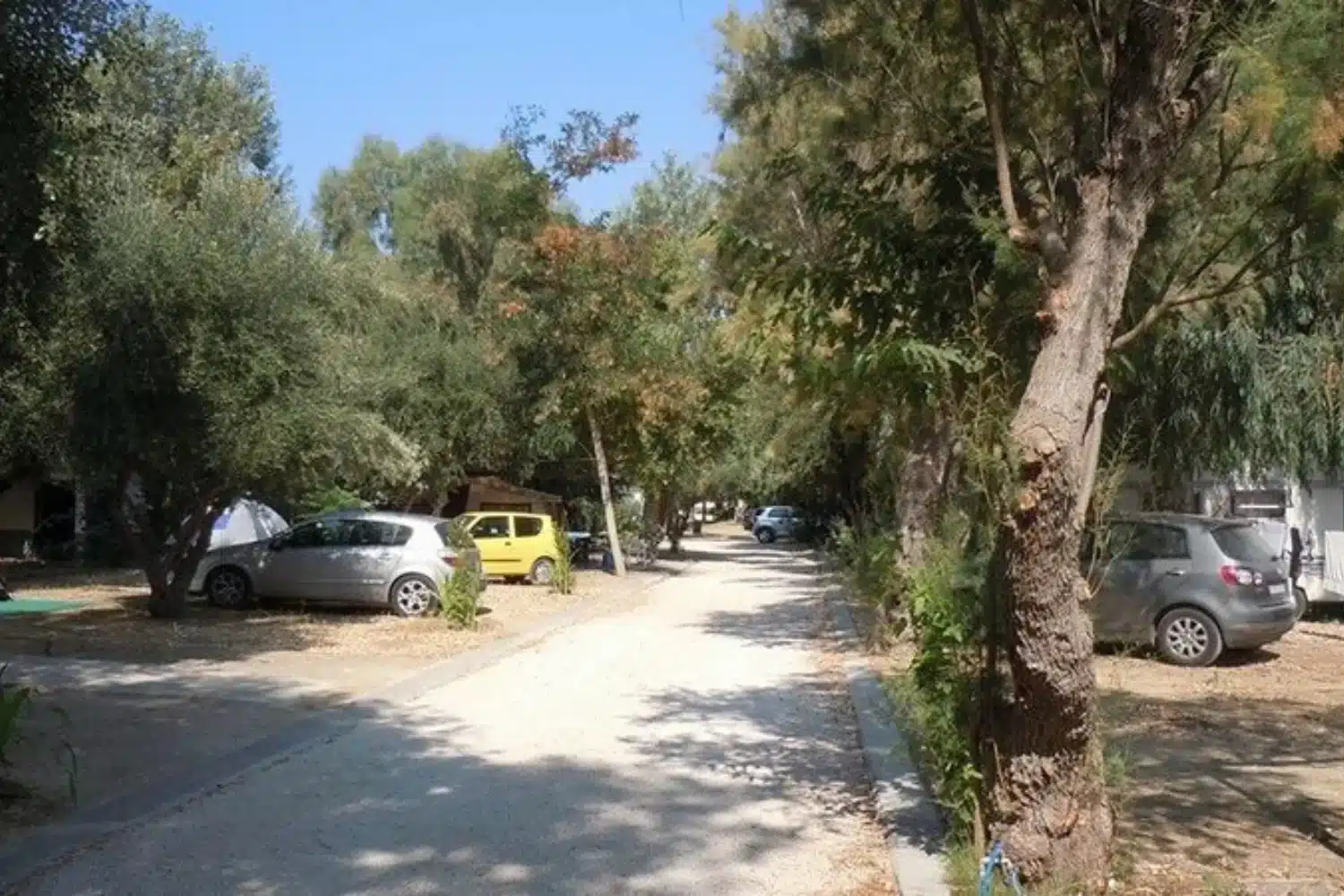 camping ammos 6 10.jpg