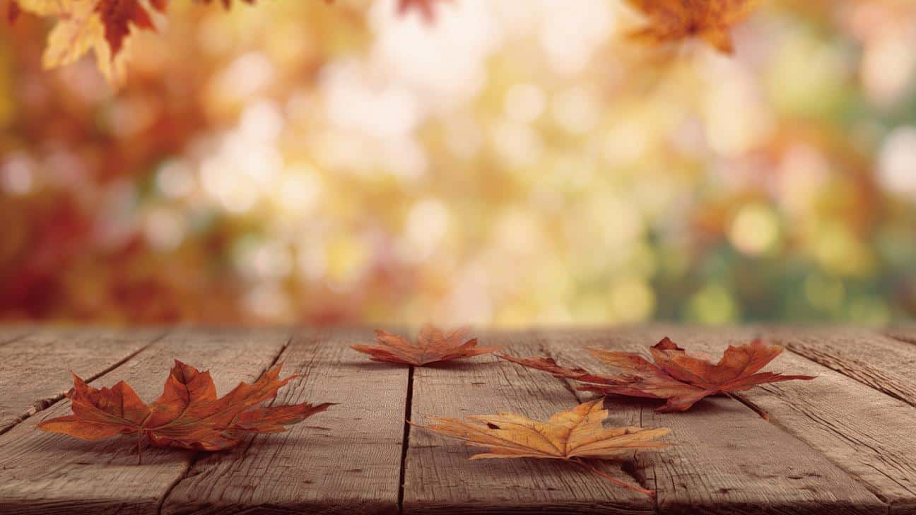 november