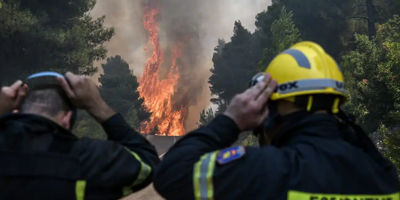 pyrosbestes 13 8 2019.jpg