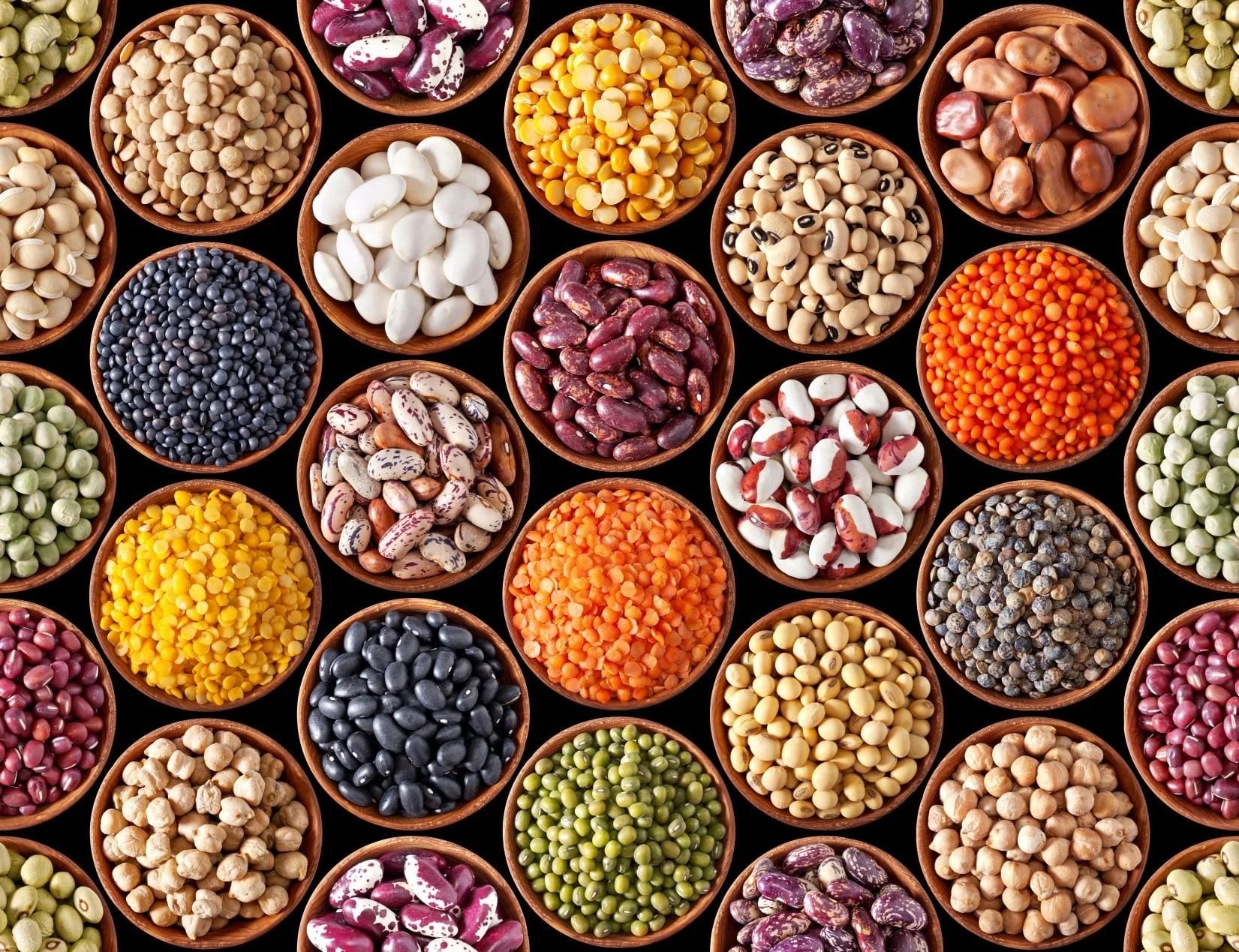 social beans