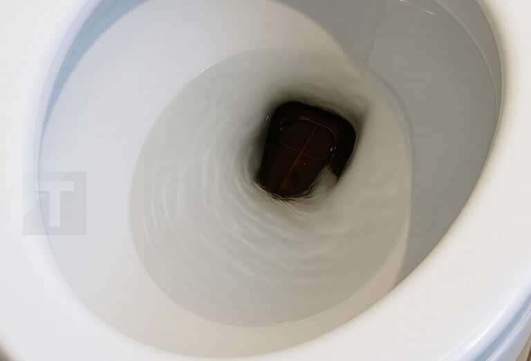 Σήκωσα το καπάκι της τουαλέτας το πρωί και πάγωσα — στην αρχή νόμιζα πως ήταν απλώς ένα αντικείμενο, μέχρι που άρχισε να κινείται